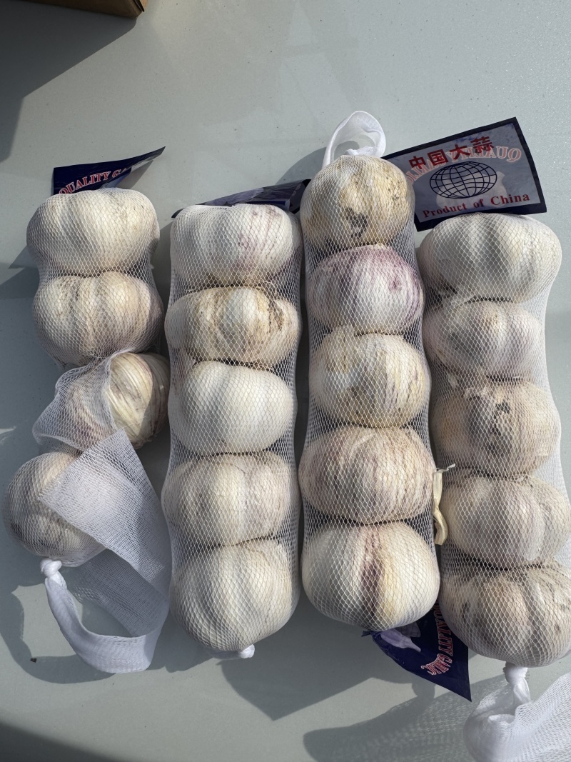 金乡大蒜常年供应产地现货现发对接电商一件代发整车线下批发