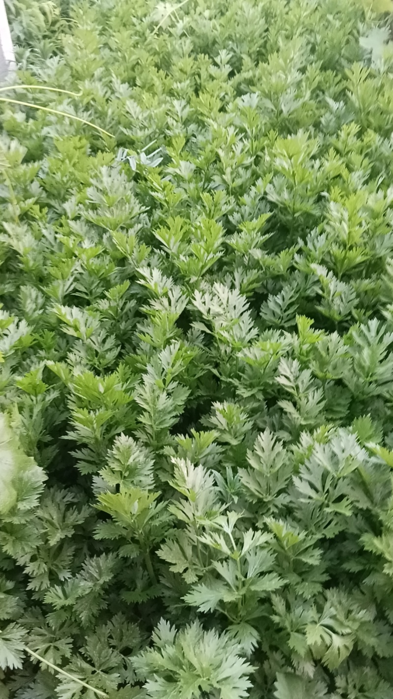 质量没问题