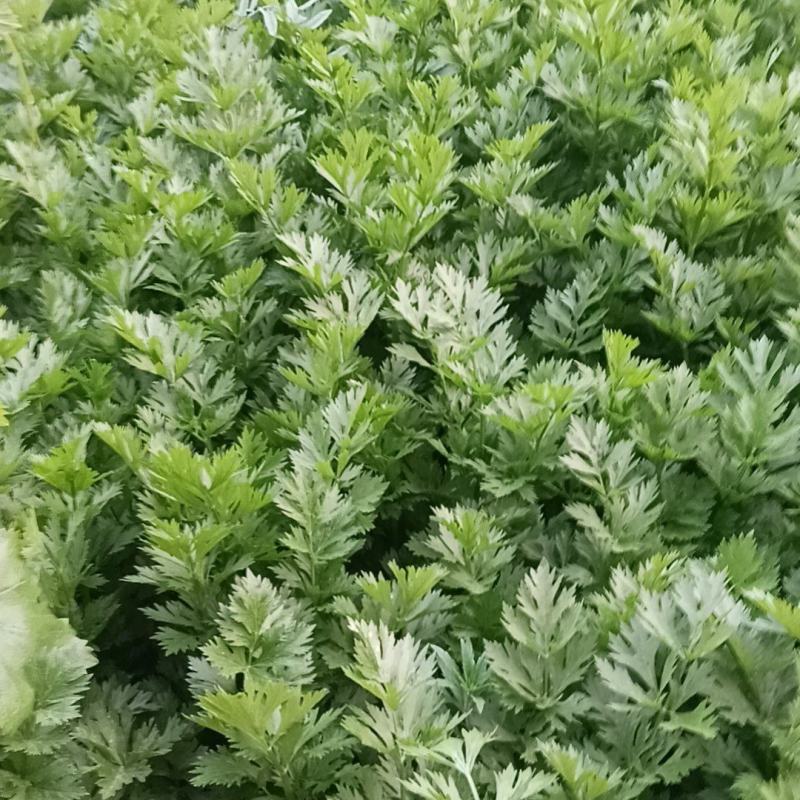 质量没问题