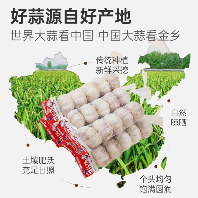 金乡大蒜常年供应产地现货现发对接电商一件代发整车线下批发