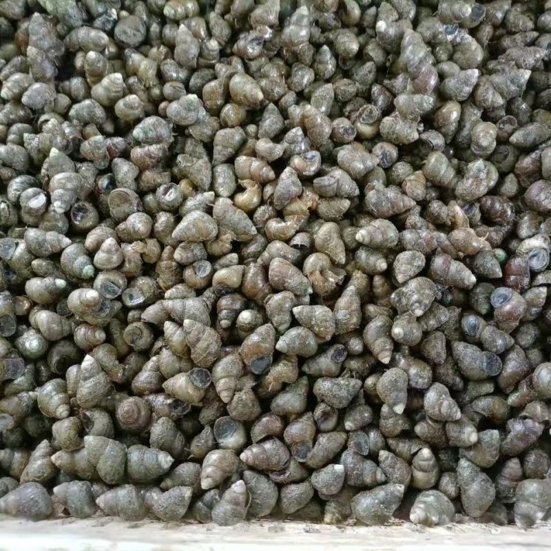 好螺丝，好价格