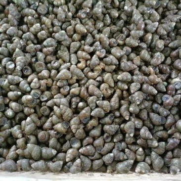 好螺丝，好价格