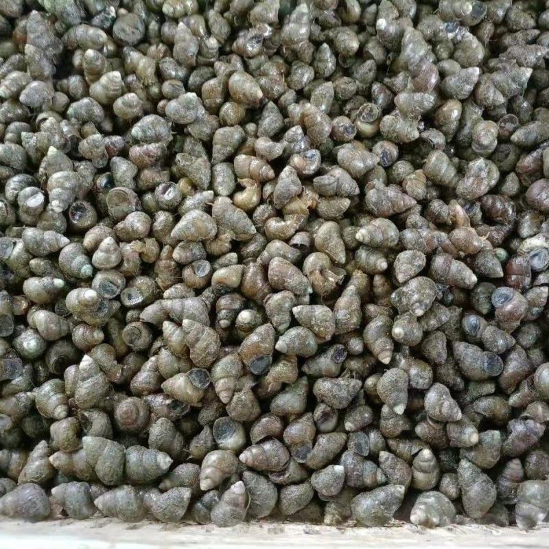 好螺丝，好价格