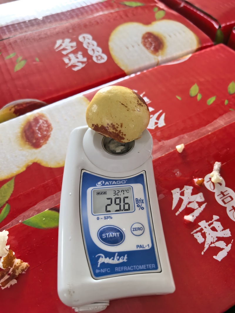 陕西大荔冬枣代办提供厂房供应社区团购产地一件代发代加工