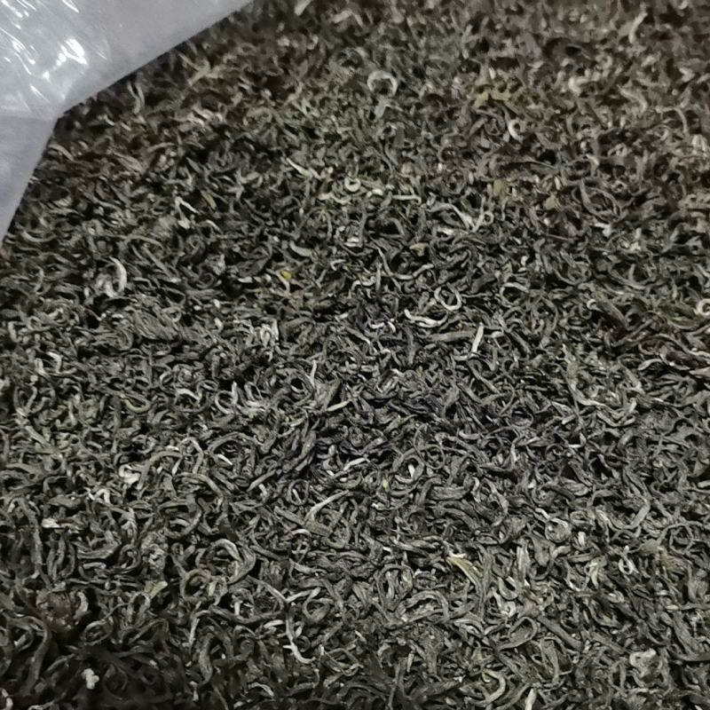 高山绿茶品质好今年新货量大从优包邮欢迎联系下单