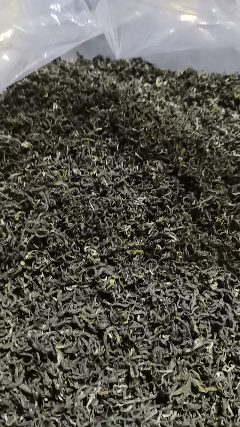 高山绿茶品质好今年新货量大从优包邮欢迎联系下单