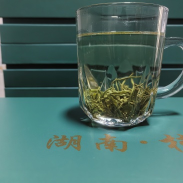 高山绿茶品质好今年新货量大从优包邮欢迎联系下单