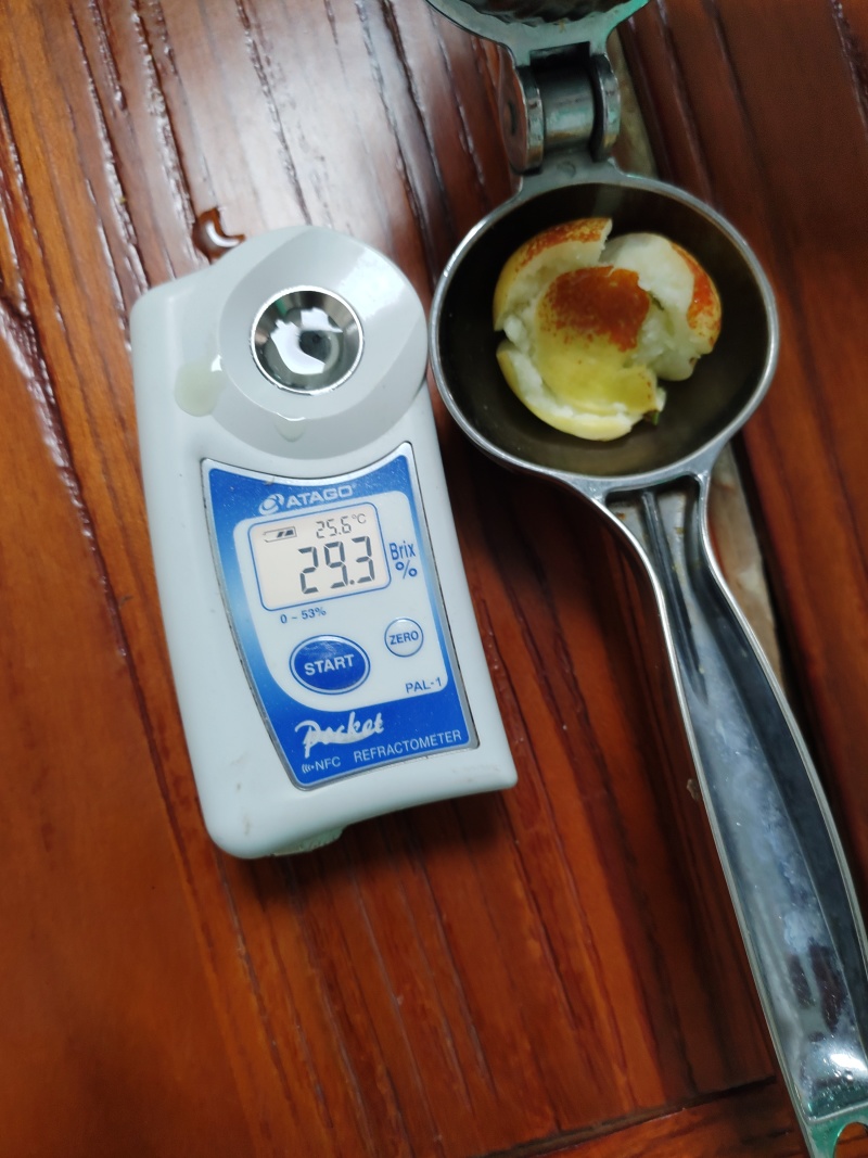 陕西大荔冬枣代办提供厂房供应社区团购产地一件代发代加工