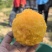 黄桃芒芒桃白肉水蜜桃产地代办供应社区团电商一件代发