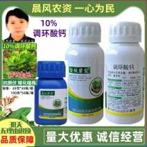 吉林金秋10%调环酸钙花生控旺压苗控梢矮壮素植物生长调节