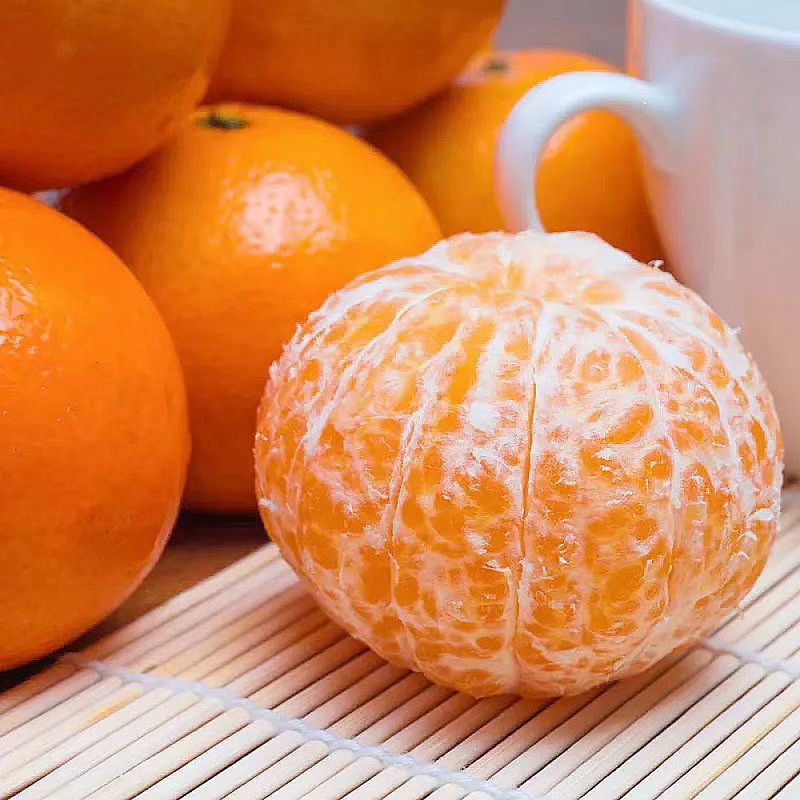 桂林精品沃柑，现摘现卖，统果走货。