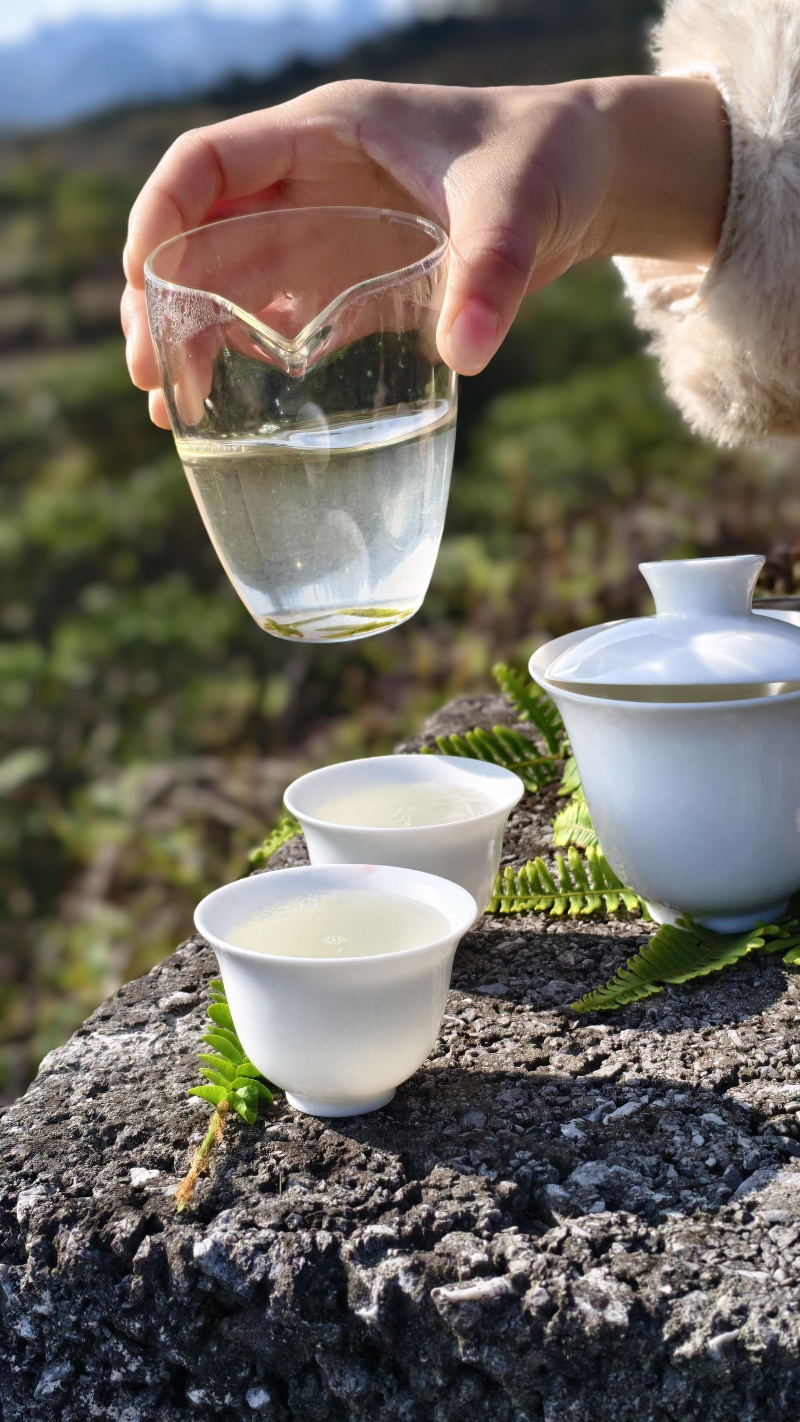 都匀毛尖口粮茶