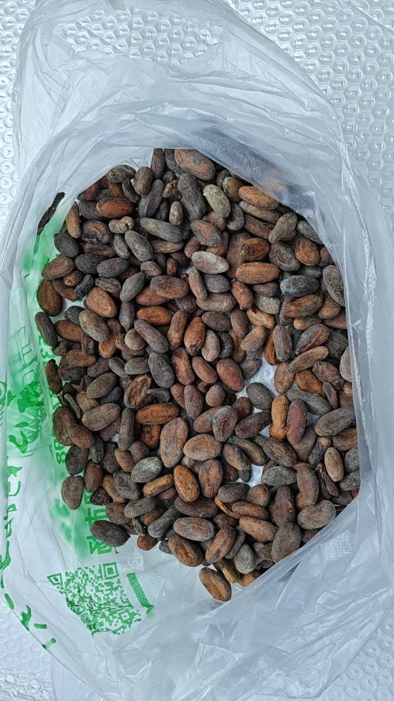 加纳进口可可豆