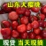 《红灯大樱桃》山东樱桃/对接电商平台~商超团购~一件代发