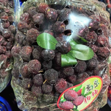 石屏杨梅