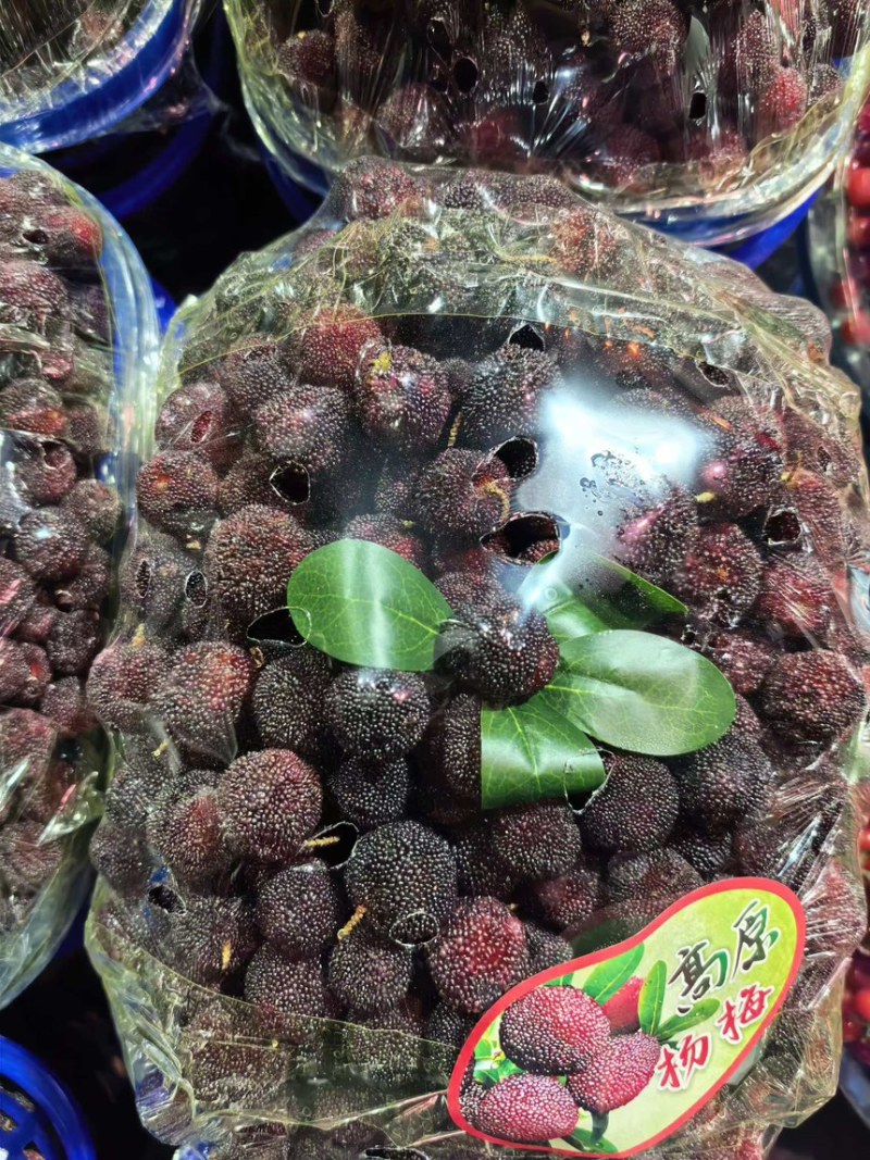 石屏杨梅