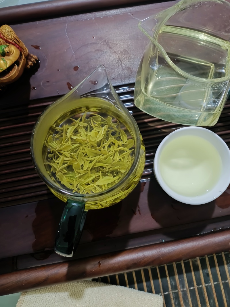 日照绿茶露天头采