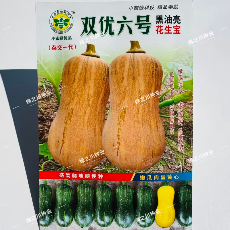 金莎蜜南瓜种子一代杂交花生蜜本南瓜种子味甜粉质细腻