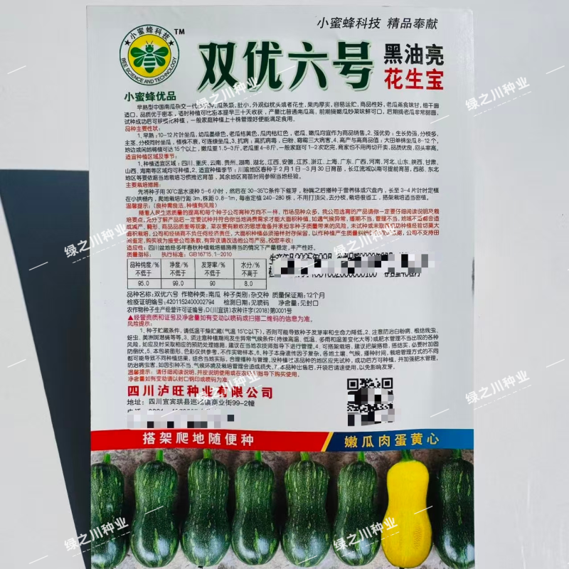 金莎蜜南瓜种子一代杂交花生蜜本南瓜种子味甜粉质细腻