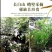 伸筋草青绿伸筋草，产地直供批发零售均可