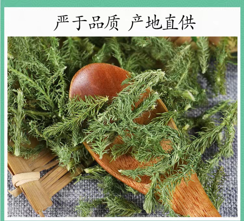 伸筋草青绿伸筋草，产地直供批发零售均可