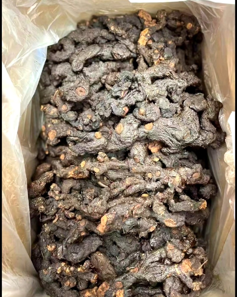 黄精纯野生货鸡头滇黄精产地直采批发零售均可价格便宜
