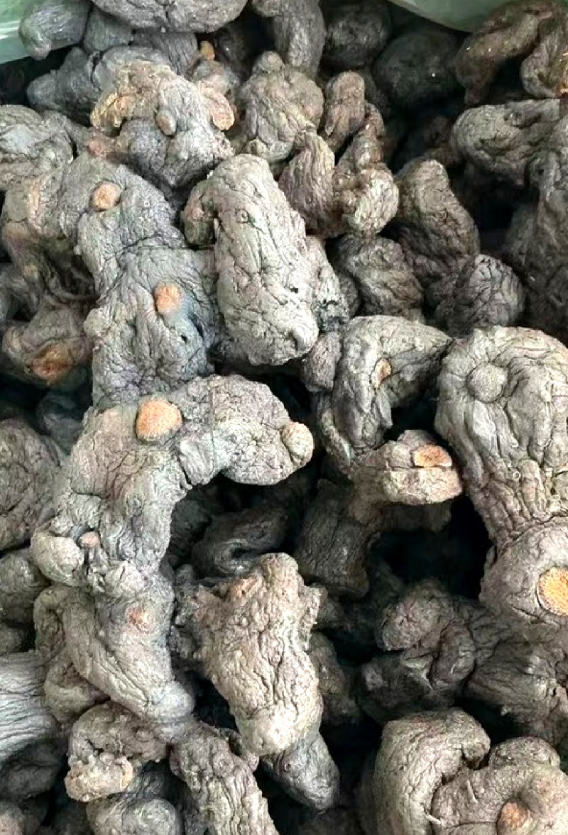 黄精纯野生货鸡头滇黄精产地直采批发零售均可价格便宜