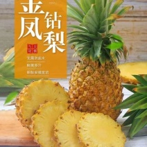 云南菠萝凤梨电商货电商一件代发抖音拼多多淘宝一件代发