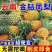 云南菠萝凤梨电商货电商一件代发抖音拼多多淘宝一件代发