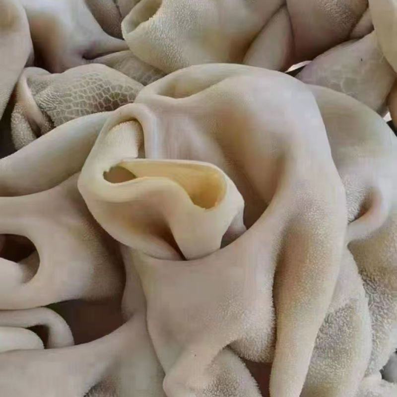 羊肚