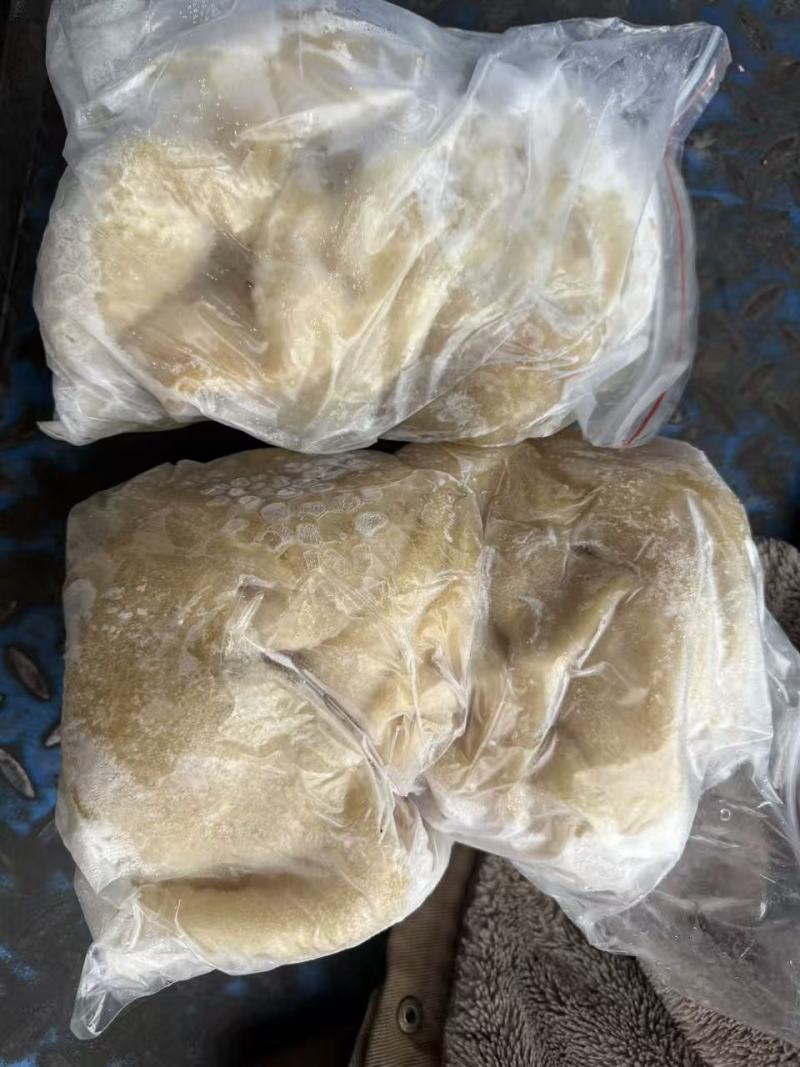 羊肚