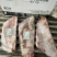 蒙兰特八片半排500一件