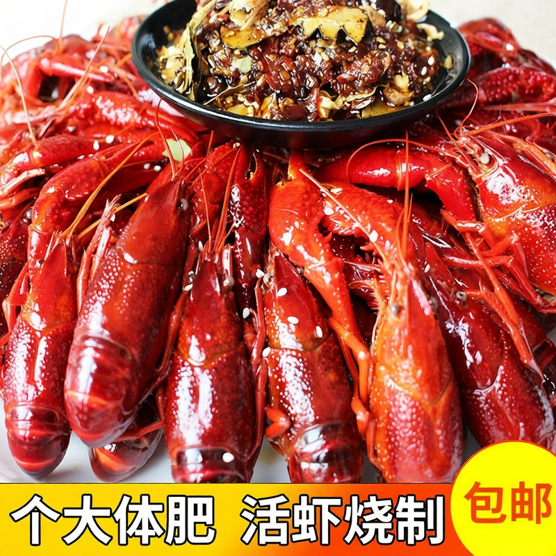 麻辣蒜香小龙虾熟食香辣十三香加热即食鲜活大虾烧制真空盒装