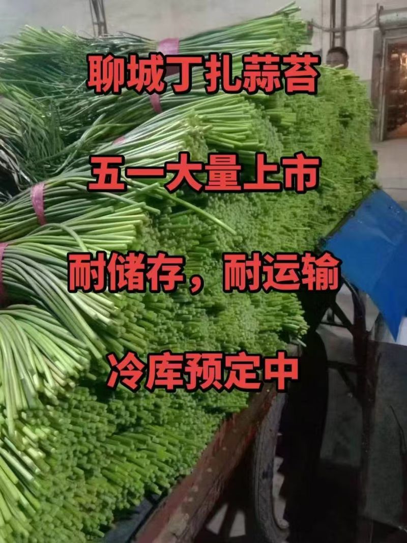 冷库400吨保鲜冷库