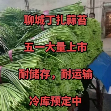 冷库400吨保鲜冷库