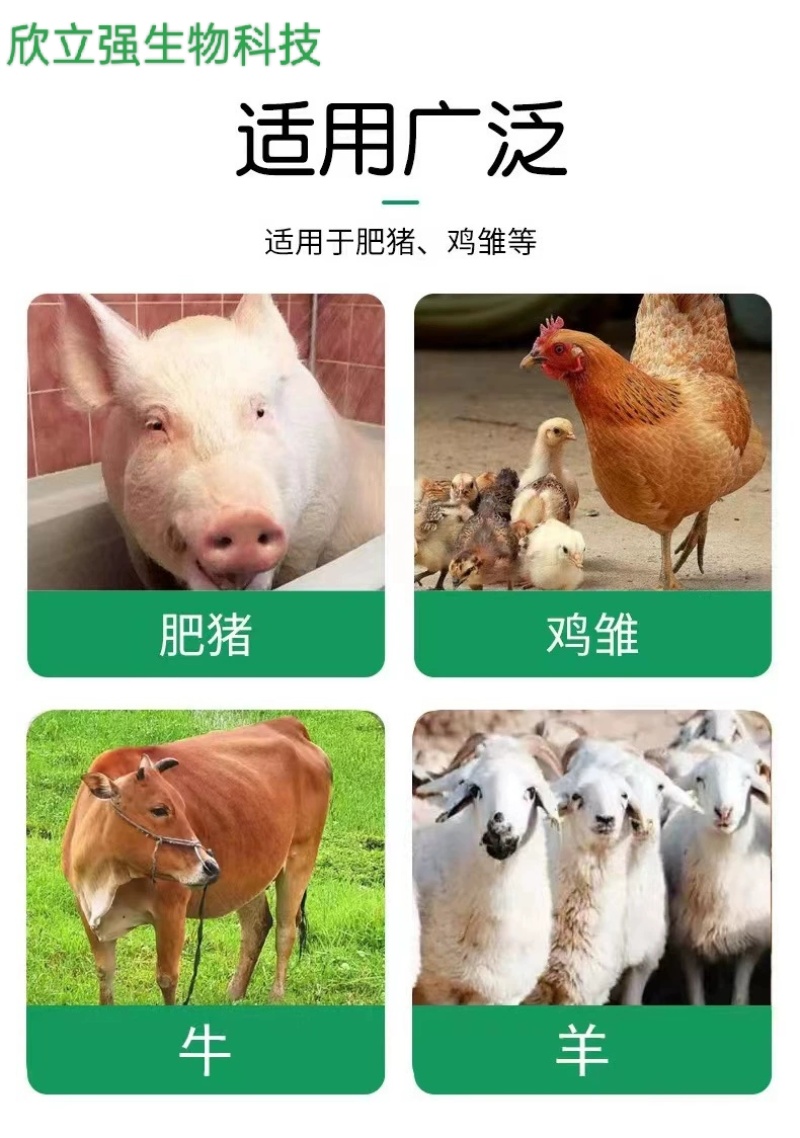 发酵酒糟粉、浓香型酱香型干白酒糟粉。厂家直销、一手货源