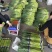 小红帽蒜苔产地直发商超品质对接全国