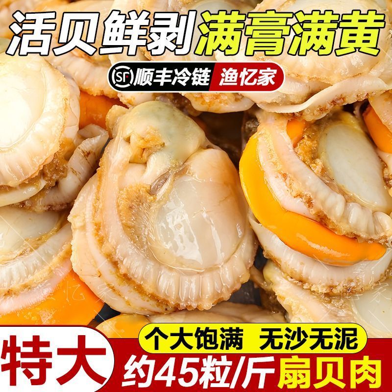 现剥特大扇贝特大号海捕冷冻野生整箱蒜蓉海鲜发现新鲜水产全