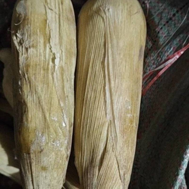 冷冻玉米336加甜糯，