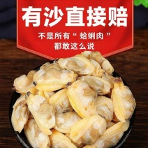 丹东蛤蜊肉【港珠花蛤肉】无冰冻煮肉冷冻海鲜无泥无沙熟冻肉