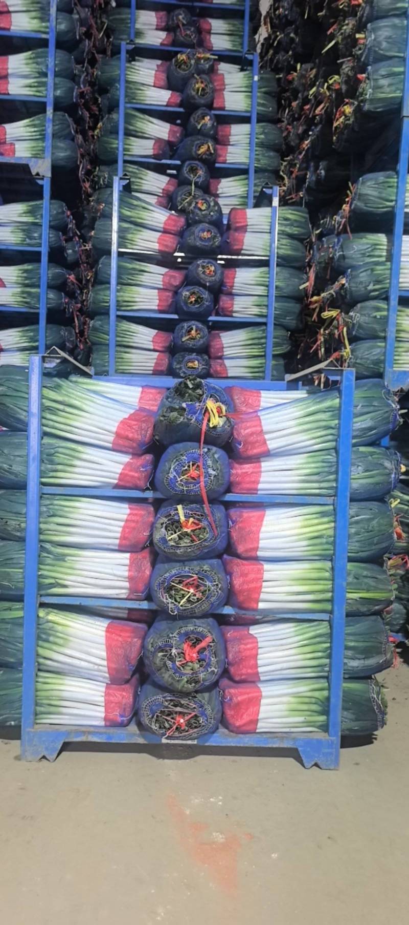 长年加工大葱，网袋货，细葱单挑