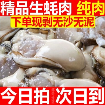 【活蚝现剥】现剥生蚝肉去壳海蛎子肉牡蛎肉火锅烧烤纯生蚝肉