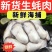 【活蚝现剥】现剥生蚝肉去壳海蛎子肉牡蛎肉火锅烧烤纯生蚝肉