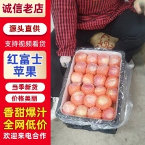 红富士，75以上，条红，纸+膜，精品，产地直发，欢迎咨询