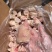 纯干猪蹄块（6-8个蹄尖）