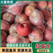 红富士苹果，产地直发，量大价优，保质保量，欢迎咨询