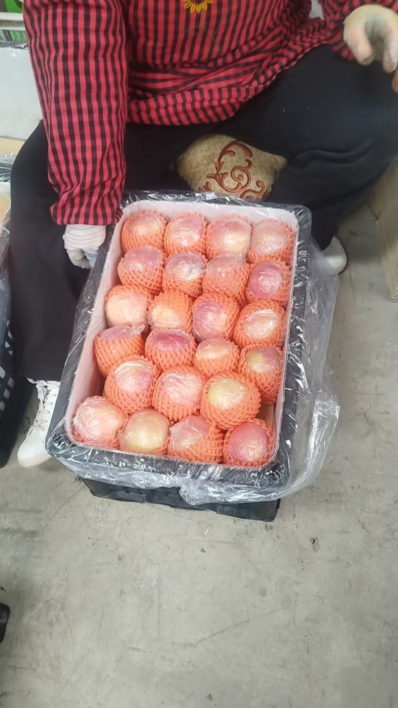 红富士苹果，产地直发，量大价优，保质保量，欢迎咨询