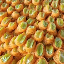 杨桃