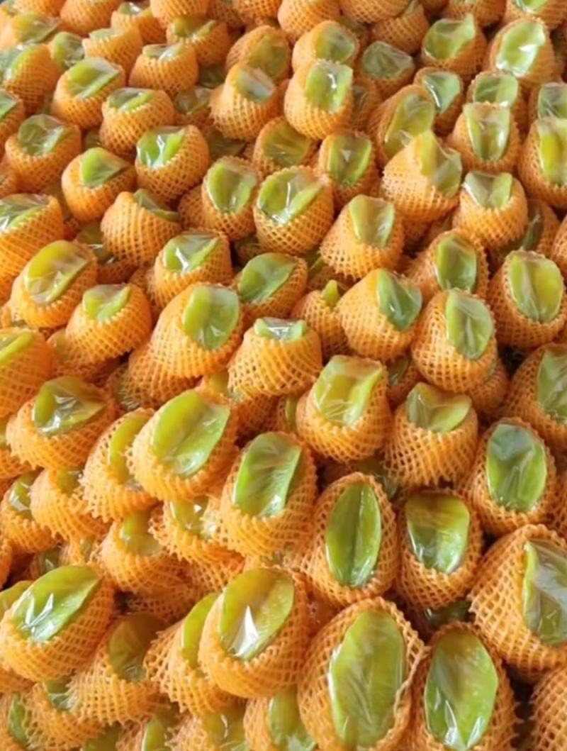 杨桃