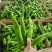 精品鲜辣椒牛角椒大量上市